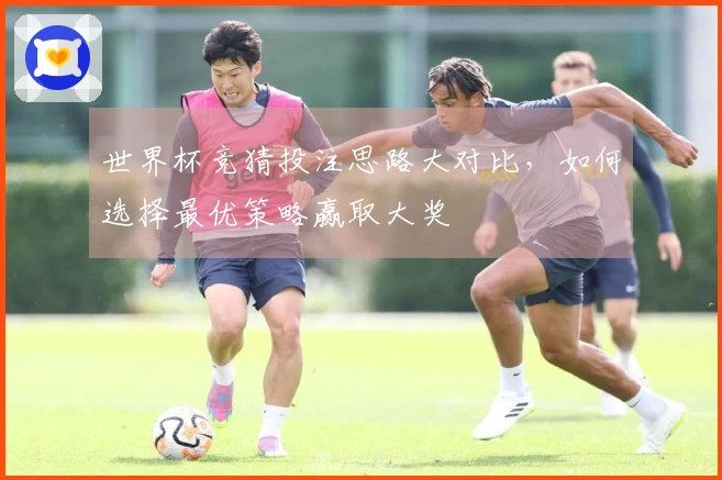 世界杯竞猜投注思路大对比，如何选择最优策略赢取大奖