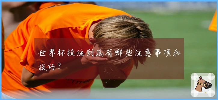 世界杯投注到底有哪些注意事项和技巧？