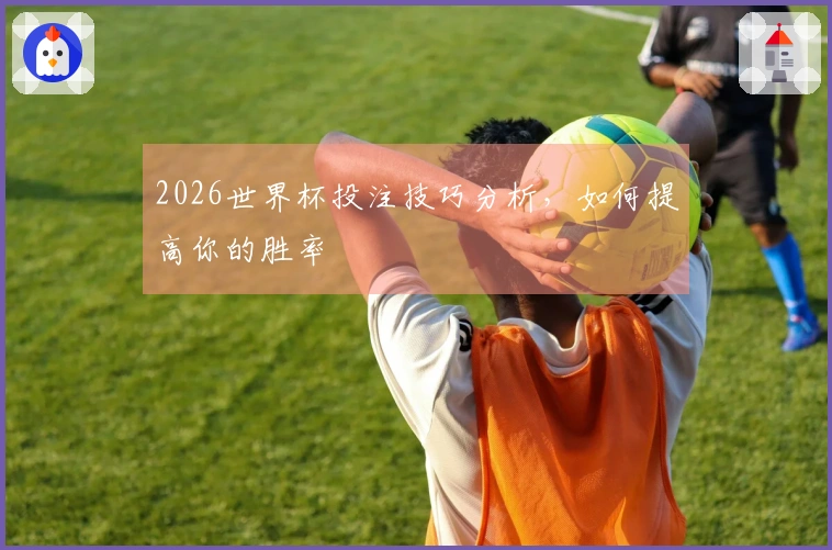 2026世界杯投注技巧分析，如何提高你的胜率