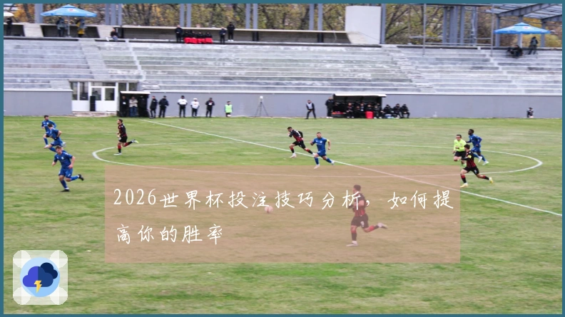 2026世界杯投注技巧分析，如何提高你的胜率